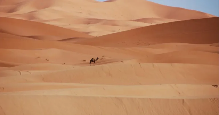 3-Day Desert Tour from Madinah