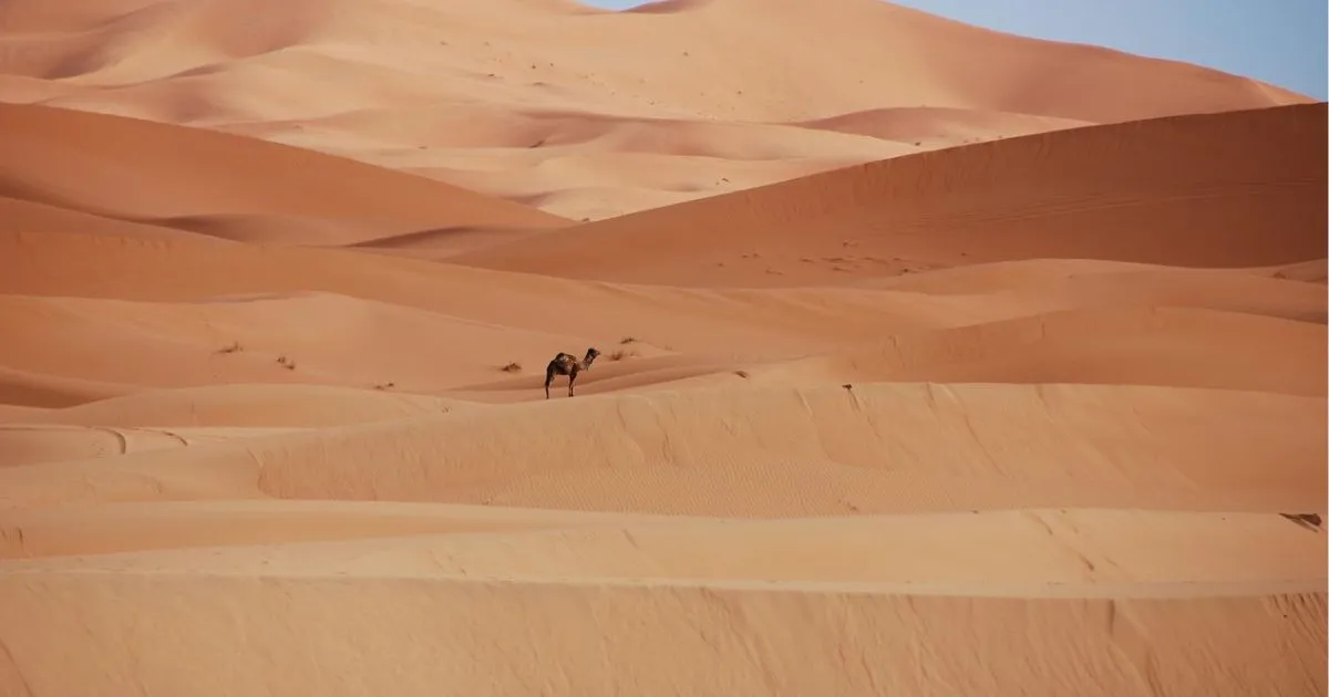 3-Day Desert Tour from Madinah