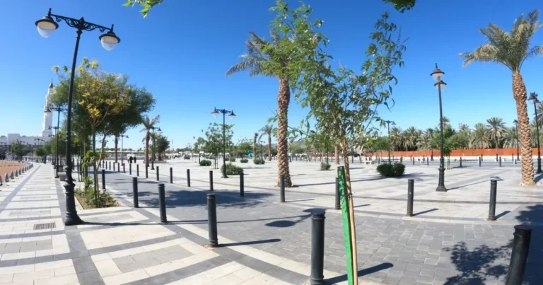 Discover Wahat Milaf: The Stunning New Oasis Gem in Medina