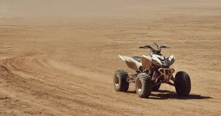 Desert Activities Medina