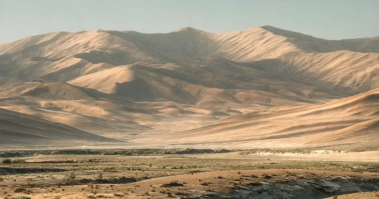 Ghazwat Al-Ghaba: The Swift Strike That Shaped History